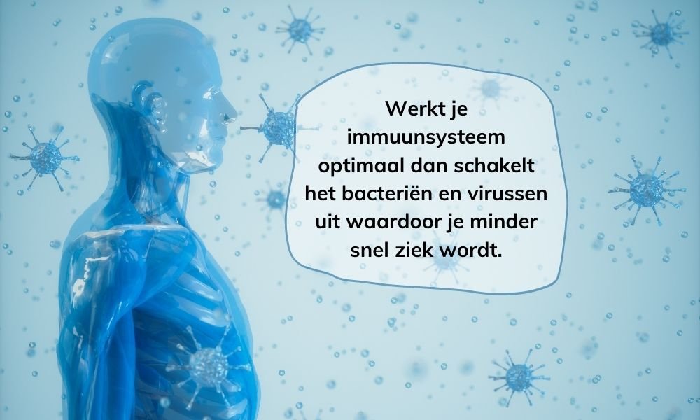 Werkt je immuunsysteem optimaal dan schakelt het bacteriën en virussen uit waardoor je minder snel ziek wordt.